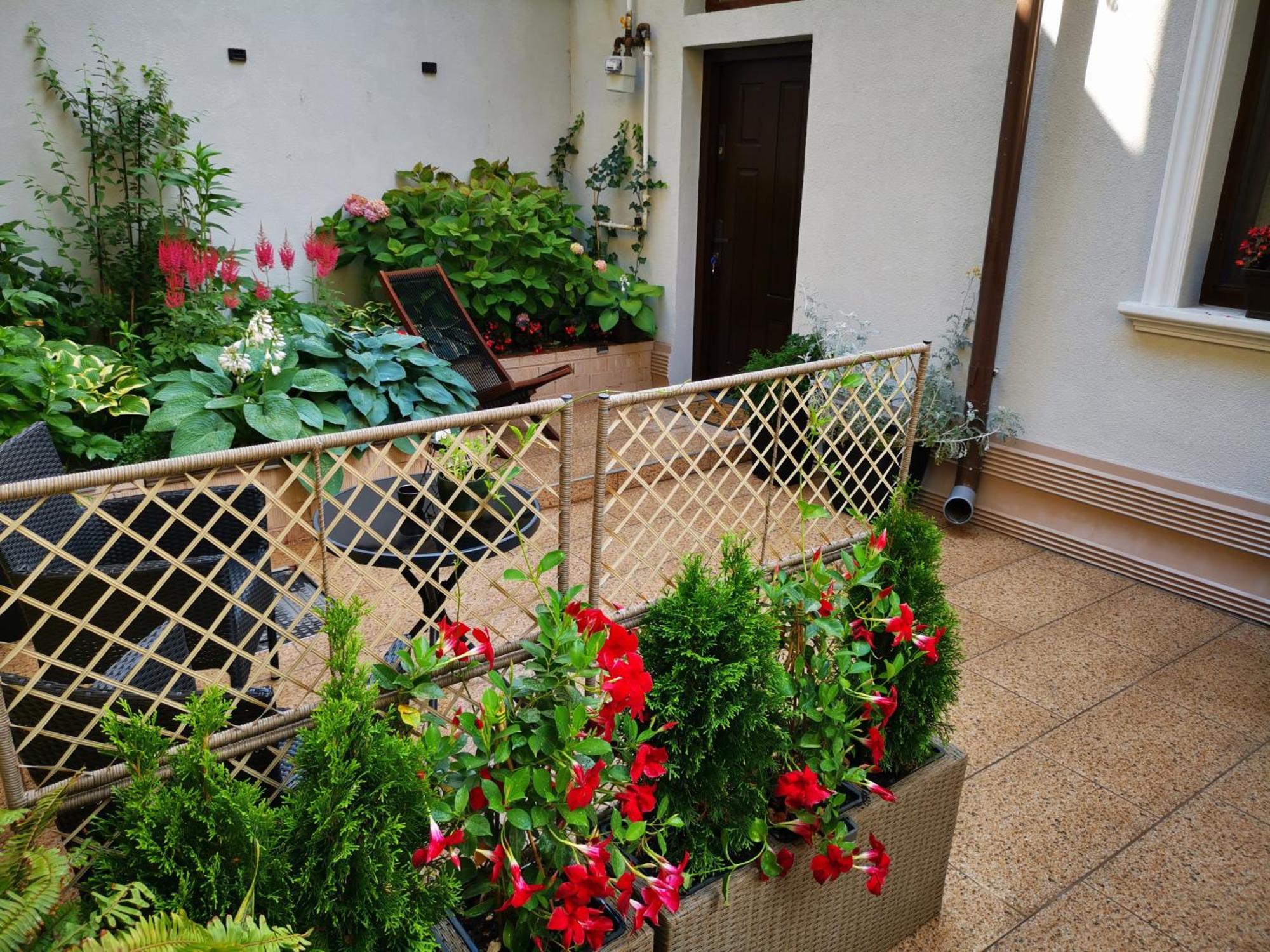 Cozy Green House Bucureşti Exterior foto